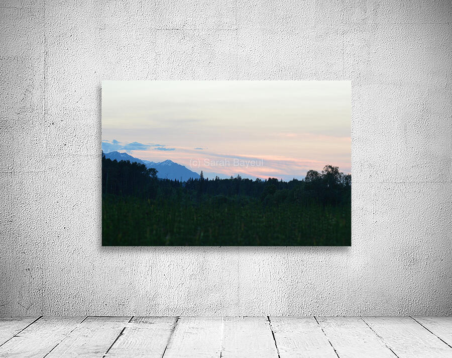 Wetland 2 Wall Preview