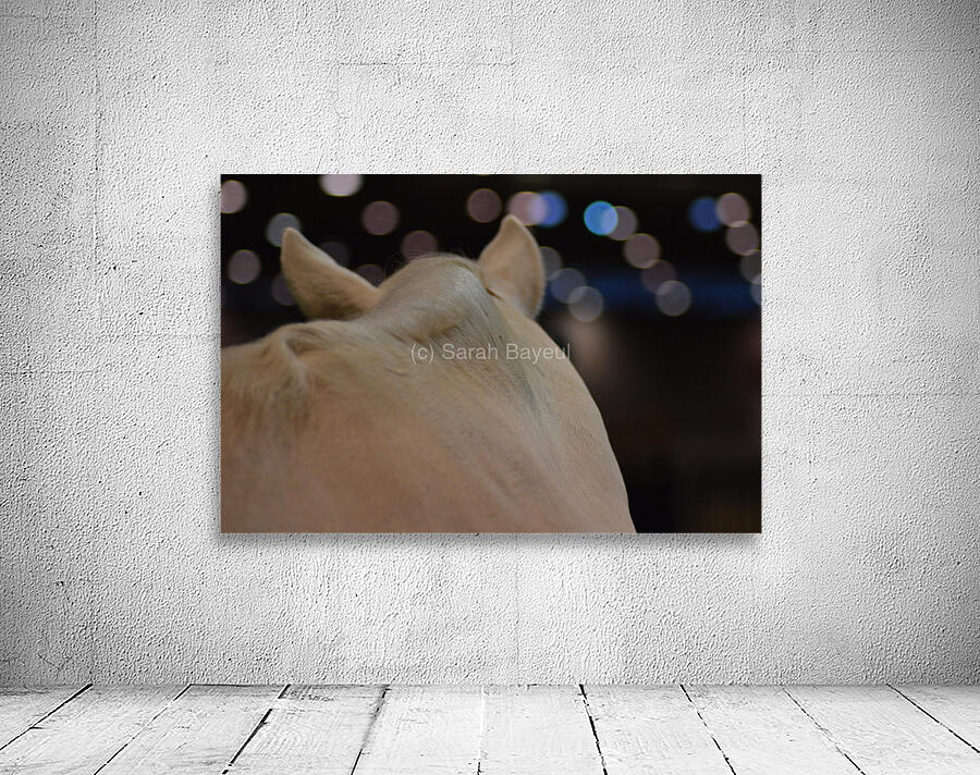 White horse Wall Preview