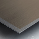 Free Runner 4BwB-F Metal print