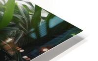 Natures Harmony HD Metal print