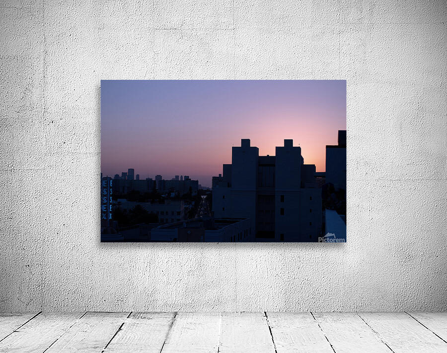 Miami Skyline Wall Preview