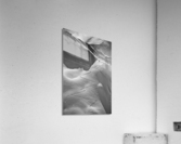 UP Acrylic Print
