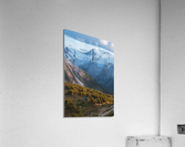 JUMBO Acrylic Print