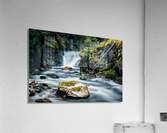 DAVIS Acrylic Print