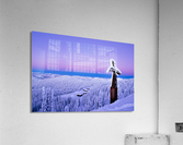 SWORD 2 Acrylic Print