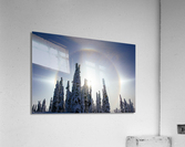 SUN DOG Acrylic Print