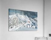 RIDGE CAT Acrylic Print