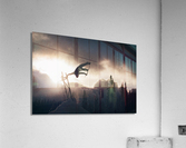 D.DAVIS Acrylic Print