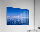 LODGE Acrylic Print