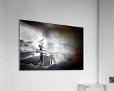 ABSINTHE  Acrylic Print