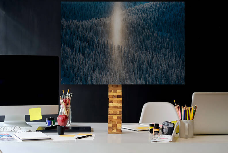 BEAM Reproduction