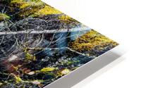 DAVIS HD Metal print