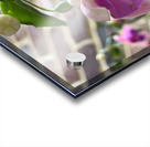 Fuchsia5 Acrylic print