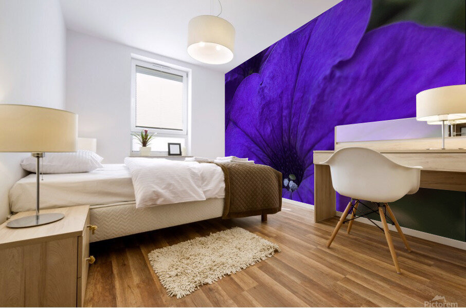VioletPetunia Mural print