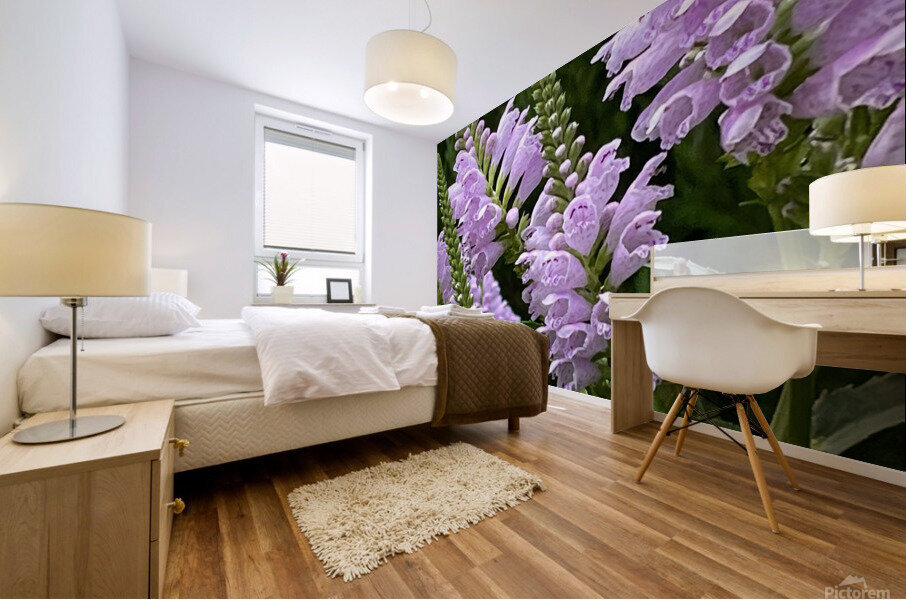 Physostegia2 Mural print
