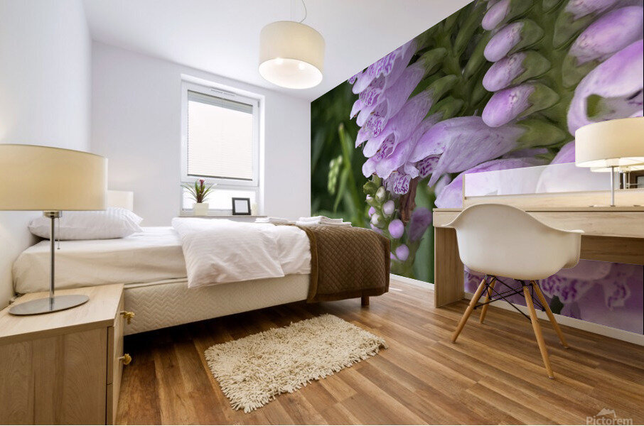 Physostegia4 Mural print