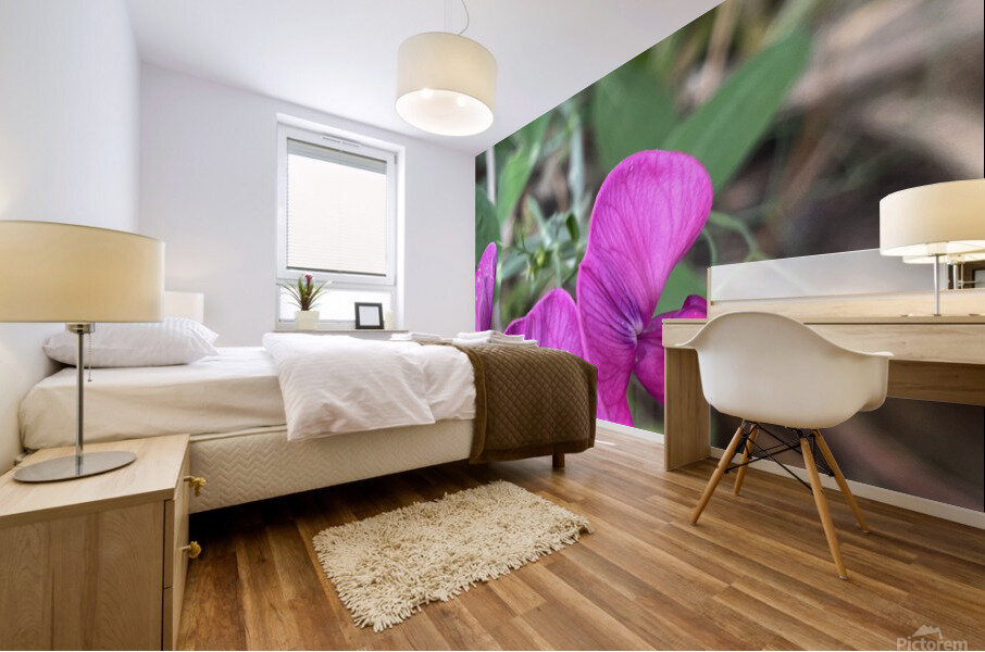 EverlastingPea Mural print