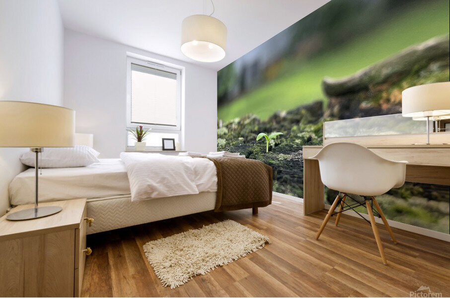 FreshSprout Mural print