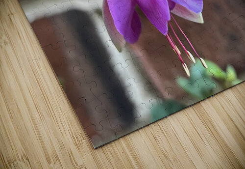 Summertime Fuchsia Sarah Schmidt puzzle