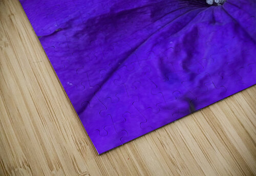 VioletPetunia Sarah Schmidt puzzle