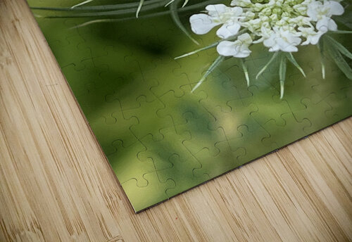 QueenAnnesLace Sarah Schmidt puzzle