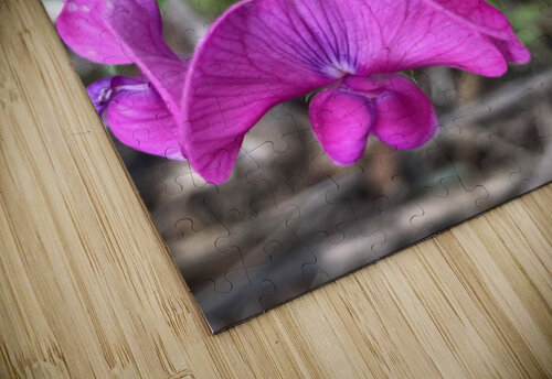 EverlastingPea Sarah Schmidt puzzle