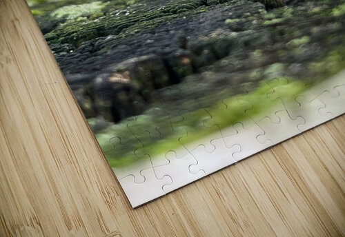 FreshSprout Sarah Schmidt puzzle