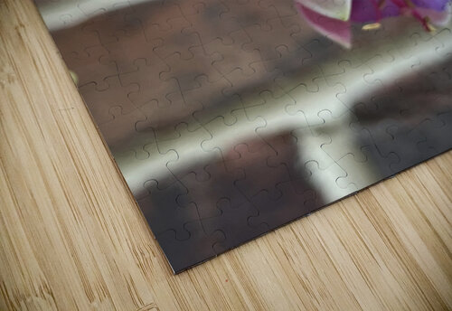 Fuchsia2 Sarah Schmidt puzzle