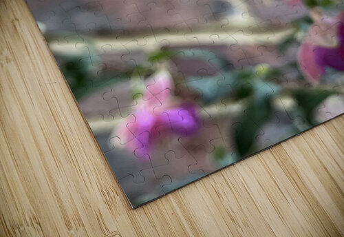 Fuchsia5 Sarah Schmidt puzzle