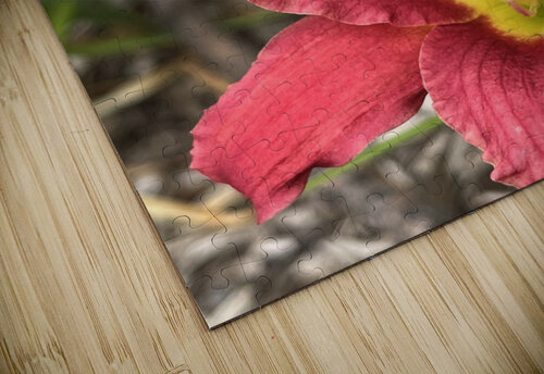 BrightRedOrangeJerseyLily Sarah Schmidt puzzle