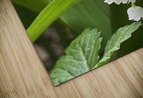 LilyOfTheValleyOrig Sarah Schmidt puzzle