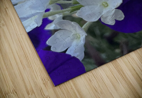 PhloxAndPetunia Sarah Schmidt puzzle