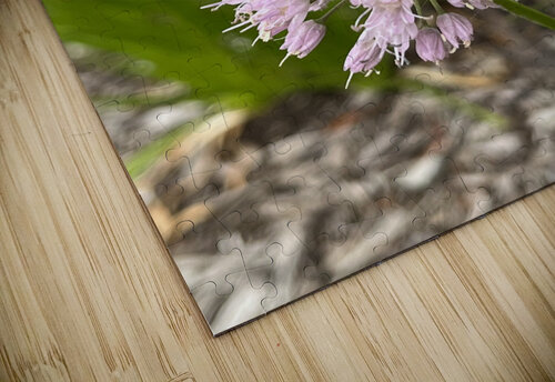 ChivesInBloom Sarah Schmidt puzzle
