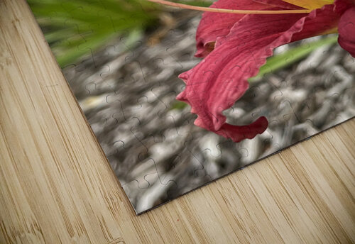 JerseyLilyRed Sarah Schmidt puzzle