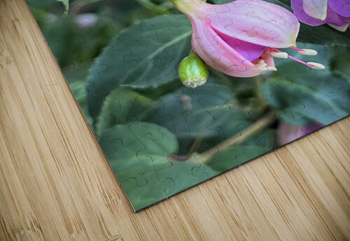 Fuchsia7 Sarah Schmidt puzzle
