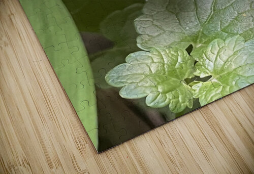 LilyoftheValley3 Sarah Schmidt puzzle