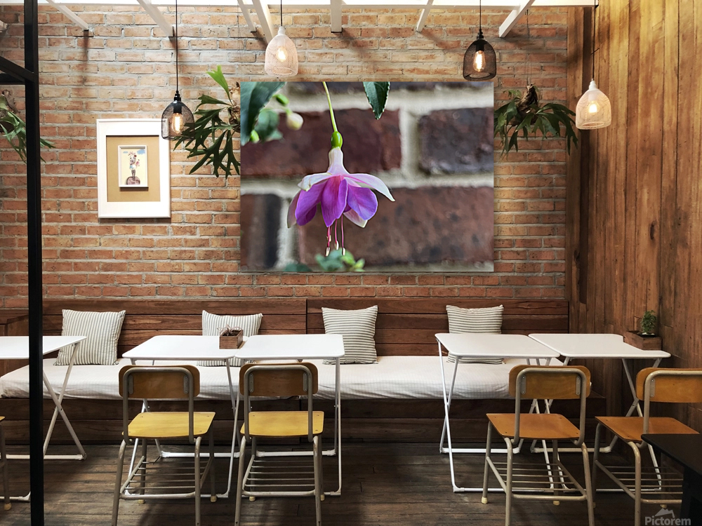 Summertime Fuchsia Reproduction
