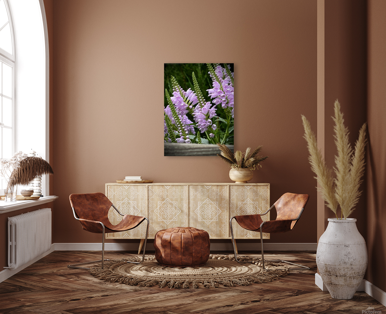 Physostegia2 Reproduction