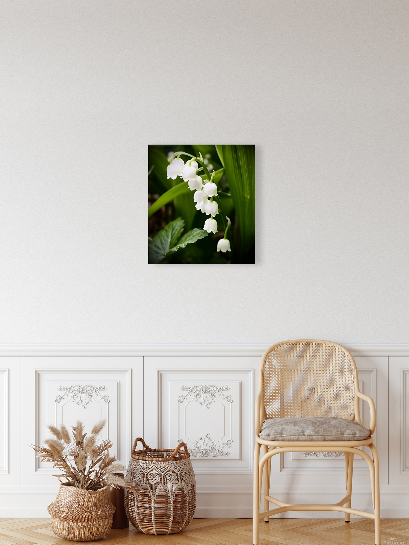 LilyOfTheValley Reproduction