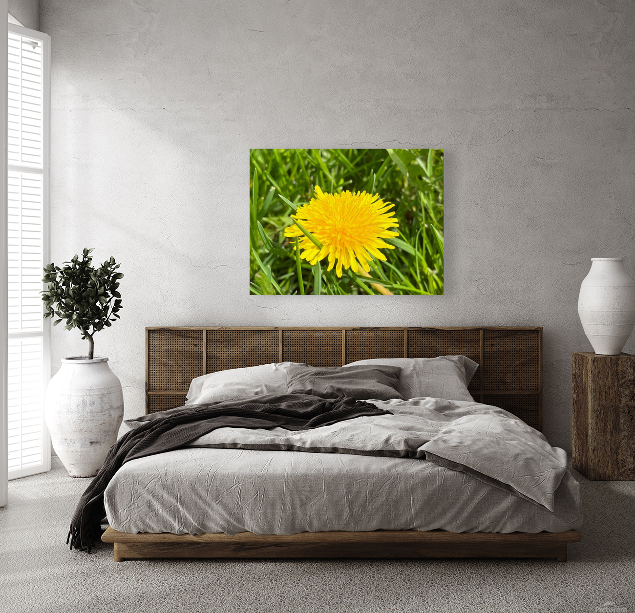 DandelionYellow Reproduction