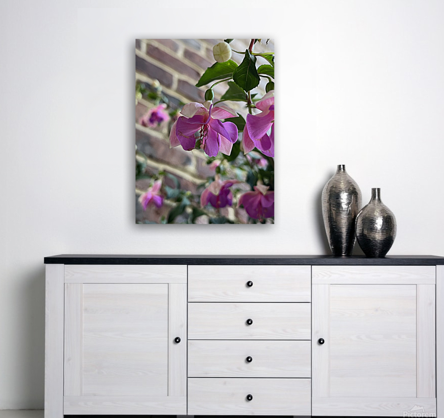 Fuchsia5 Reproduction