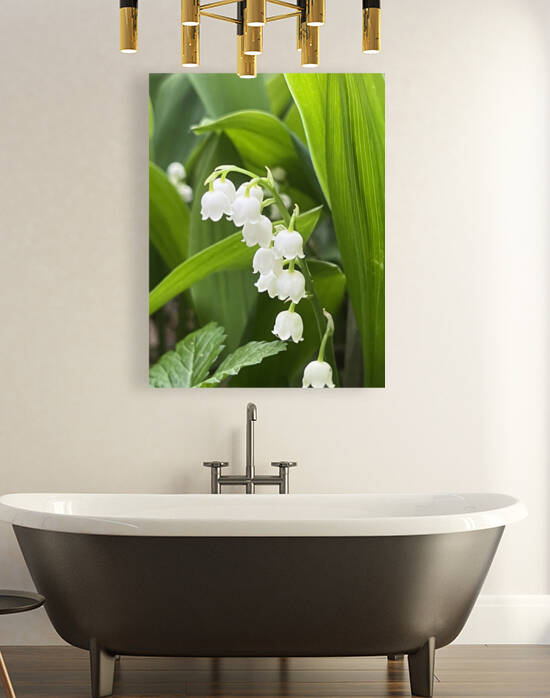 LilyOfTheValleyOrig by Sarah Schmidt