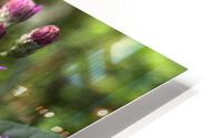 BloomingVernonia HD Metal print