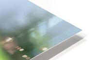FreshSprout3 HD Metal print