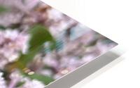 LilacJoy HD Metal print