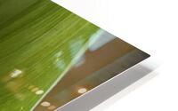 LilyoftheValley3 HD Metal print