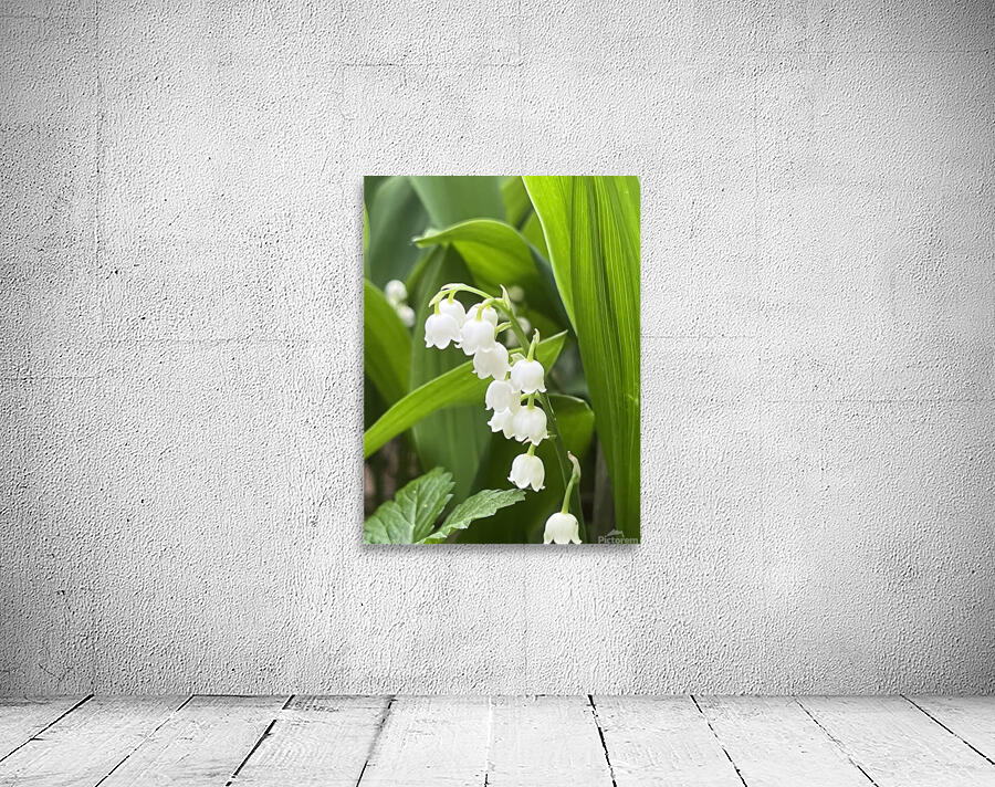 LilyOfTheValleyOrig Wall Preview