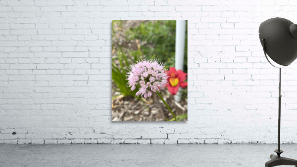 ChivesInBloom Wall Preview