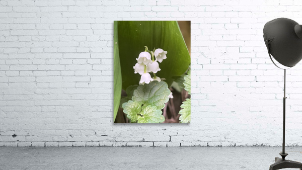 LilyoftheValley3 Wall Preview