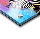 Zebras Acrylic print